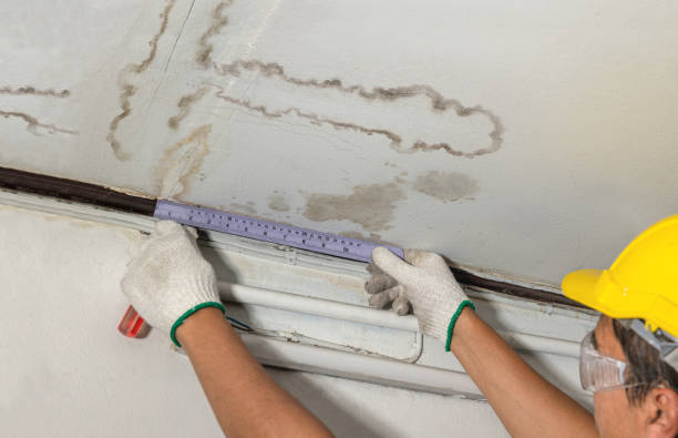 Reliable Mold Remediation contractor in Clarksville, TX by Water Damage Irwin
